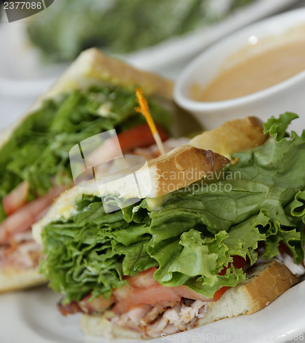 Image of Turkey Sandwich Lunch