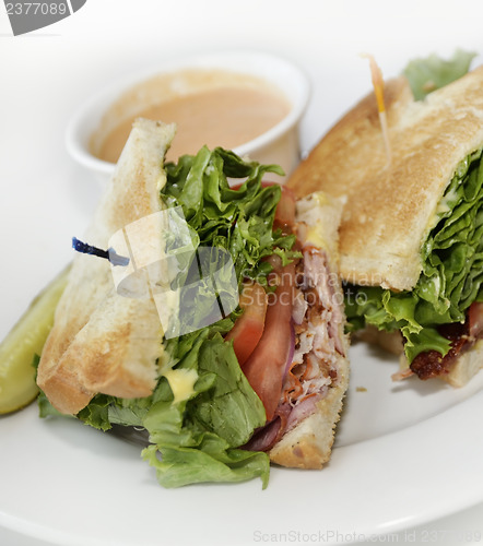 Image of Turkey Sandwich Lunch