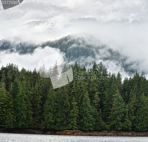 Image of Mist On The Mountains