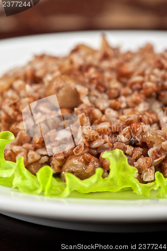 Image of buckwheat
