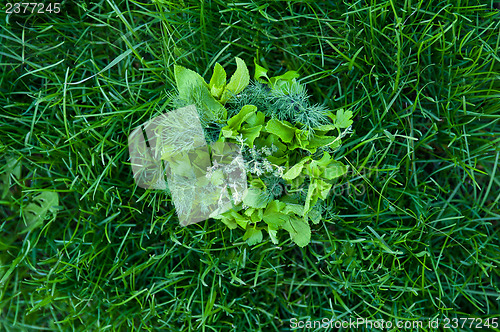 Image of food greens