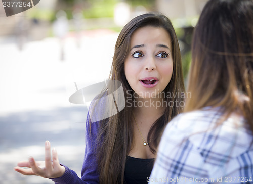 Image of Expressive Young Mixed Race Female Sitting and Talking with Girl