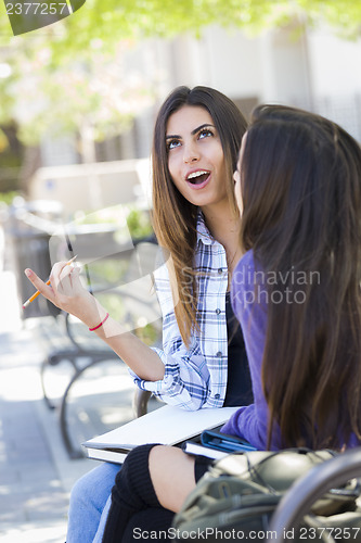 Image of Expressive Young Mixed Race Female Sitting and Talking with Girl