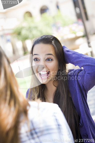 Image of Expressive Young Mixed Race Female Sitting and Talking with Girl