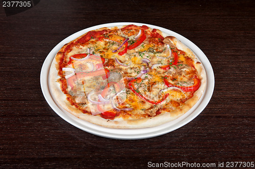 Image of meat pizza