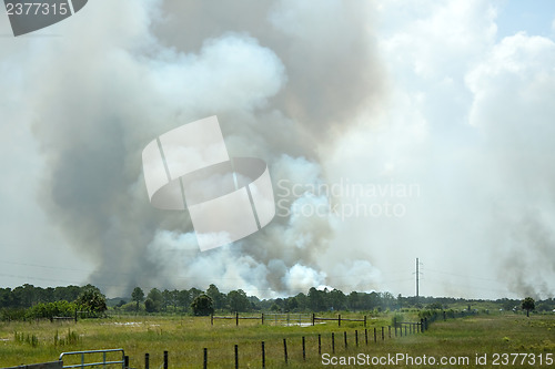 Image of Open Burning or Wildfire