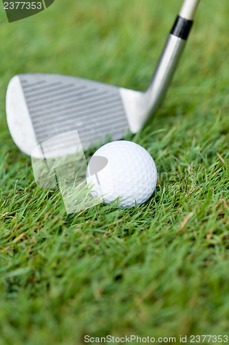 Image of golf ball and iron on green grass detail macro summer outdoor