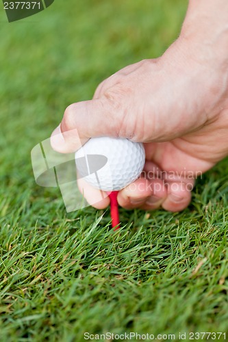 Image of golf ball and iron on green grass detail macro summer outdoor