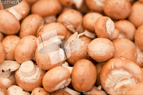 Image of fresh brown champignons on market outdoor