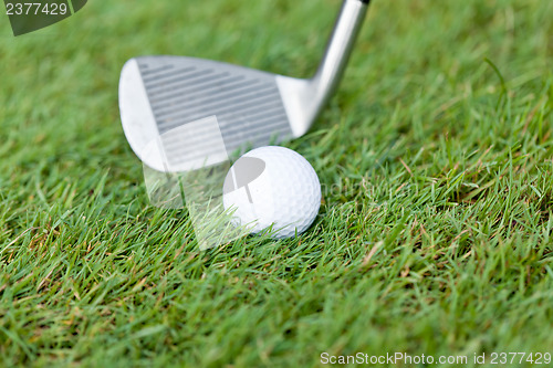 Image of golf ball and iron on green grass detail macro summer outdoor