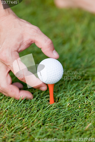 Image of golf ball and iron on green grass detail macro summer outdoor