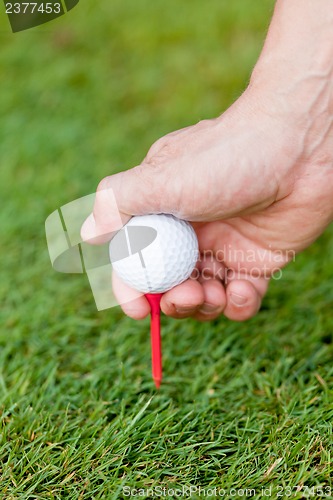 Image of golf ball and iron on green grass detail macro summer outdoor