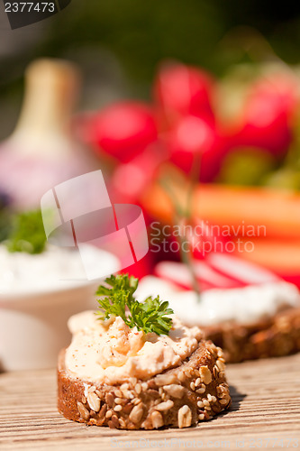 Image of fresh tasty homemade cream cheese and herbs with bread