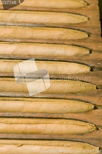 Image of hand made cigars in press storage