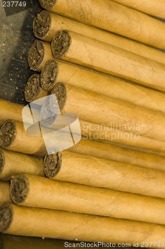 Image of hand rolled cigars