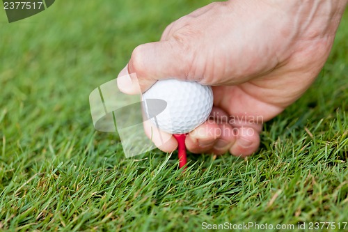 Image of golf ball and iron on green grass detail macro summer outdoor