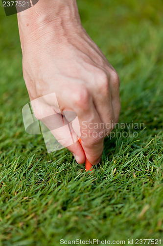 Image of golf ball and iron on green grass detail macro summer outdoor