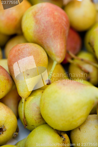 Image of fresh tasty pear fruit on market outdoor in summer