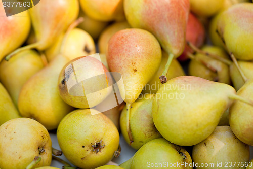 Image of fresh tasty pear fruit on market outdoor in summer