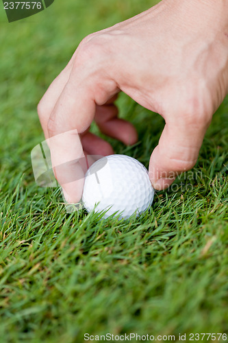 Image of golf ball and iron on green grass detail macro summer outdoor