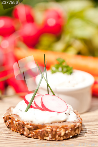 Image of fresh tasty homemade cream cheese and herbs with bread