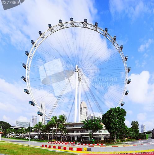 Image of Singapore Ferris Wheel