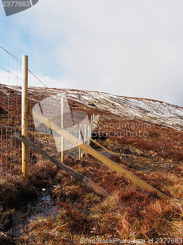 Image of Deer fence, Scotland Highlands in spring