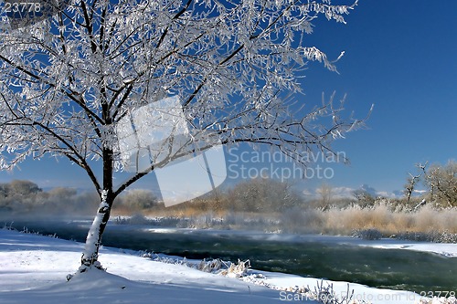 Image of winter beauty