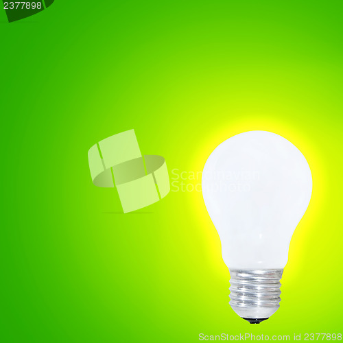 Image of White bulb