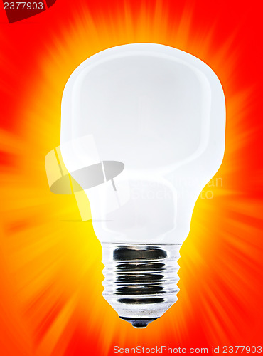 Image of White bulb