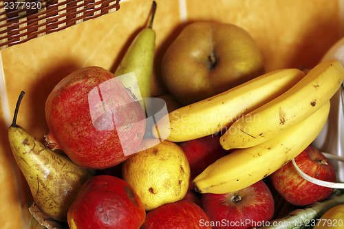 Image of Fruit basket