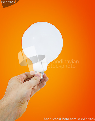 Image of White bulb