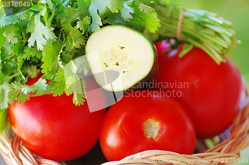 Image of Tomato, cocumber and cilantro herbs on basket