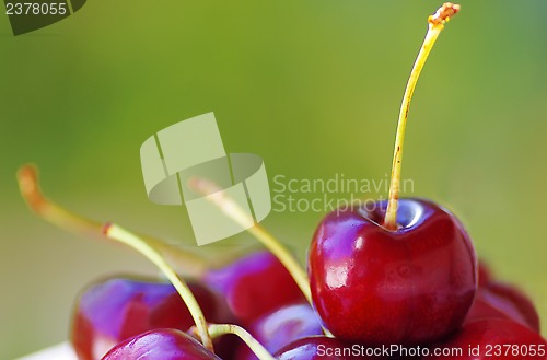 Image of fresh cherries on table, green background