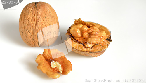 Image of Walnuts in closeup