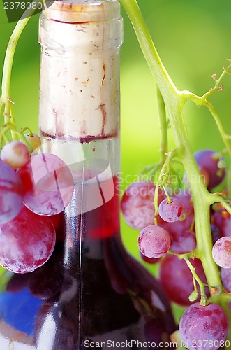 Image of Closeup of wine botle and grapes