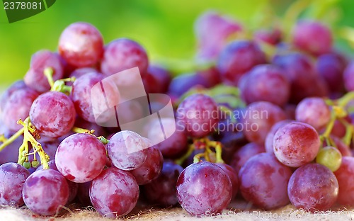 Image of red grape fruit, on table