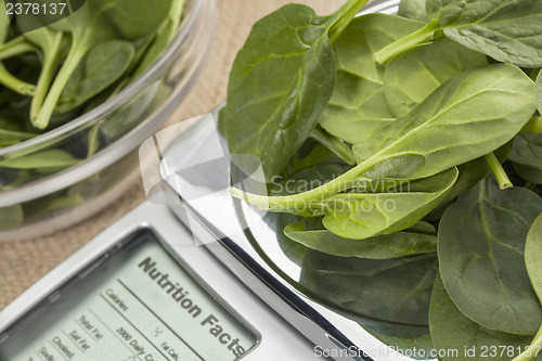 Image of fresh spinach on diet scale