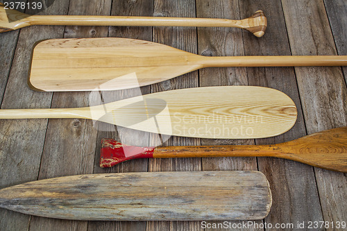 Image of wooden canoe paddles