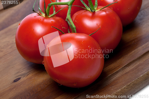 Image of Bunch of fresh tomatoes with water drops on wooden cutting board