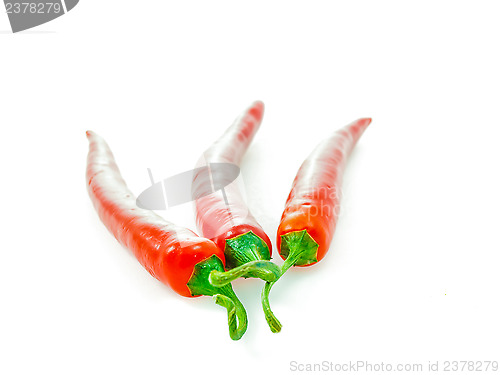 Image of Red chili pepper