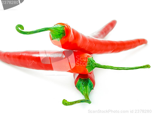 Image of Red chili pepper
