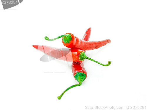 Image of Red chili pepper