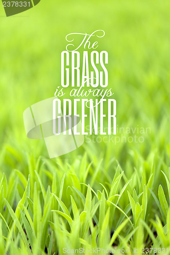 Image of Grass is Always Greener Quote