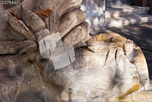 Image of Fontana delle Api