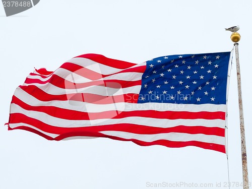 Image of American flag