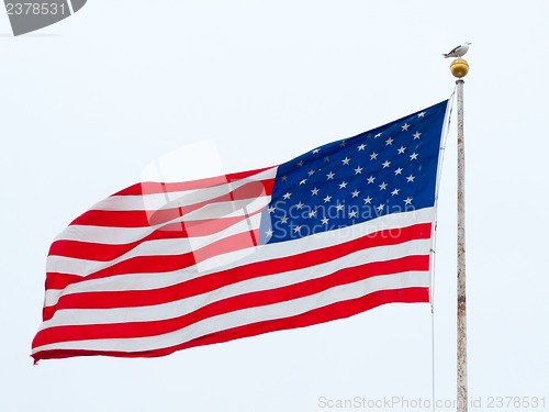 Image of American flag