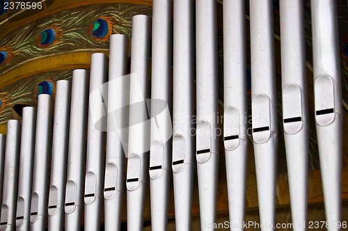 Image of Organ pipes