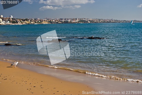 Image of Beach in Cascais
