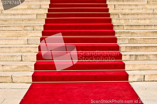 Image of Red carpet